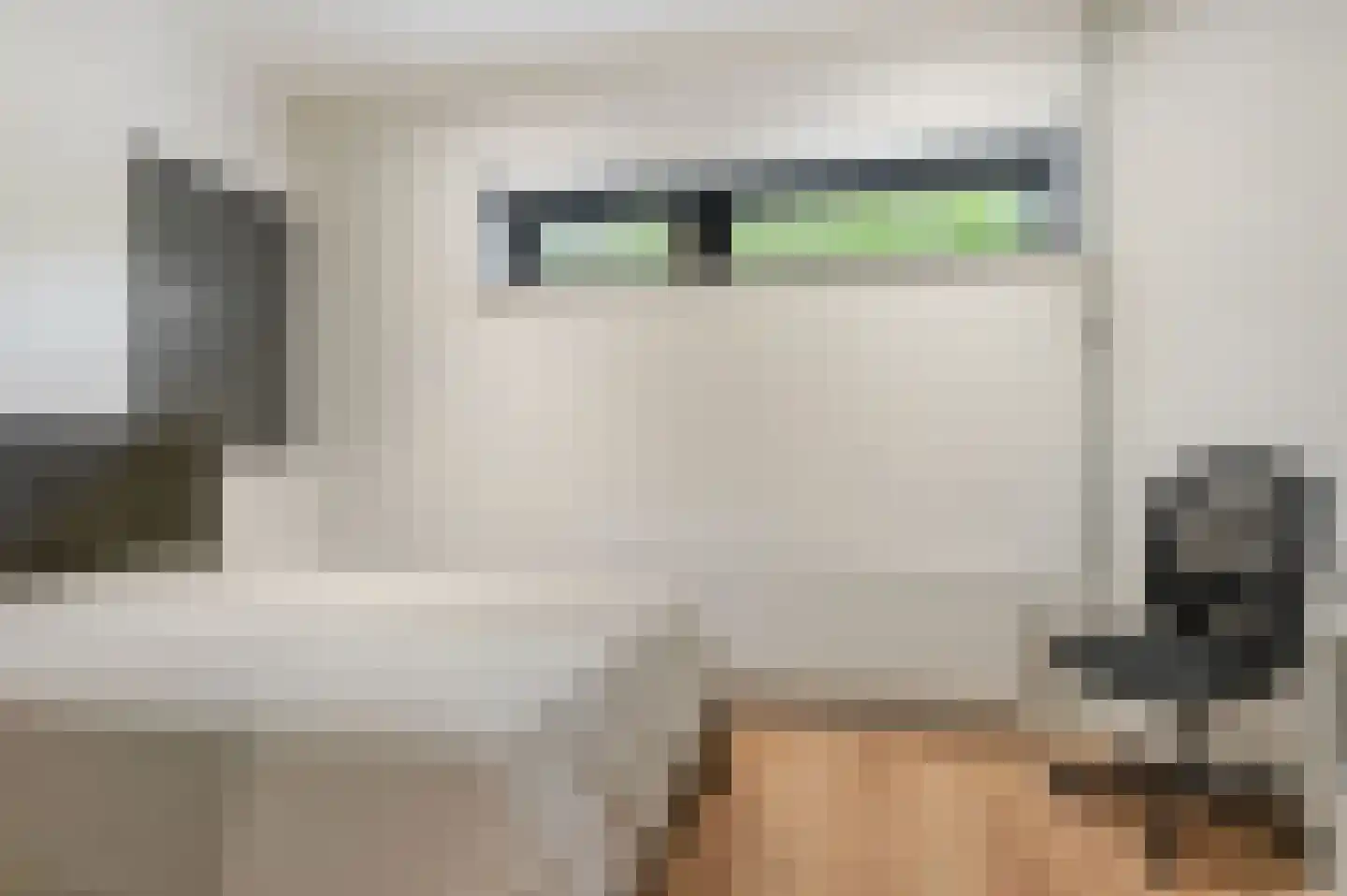 Schoenerwal 13 Leiden thumbnail 37