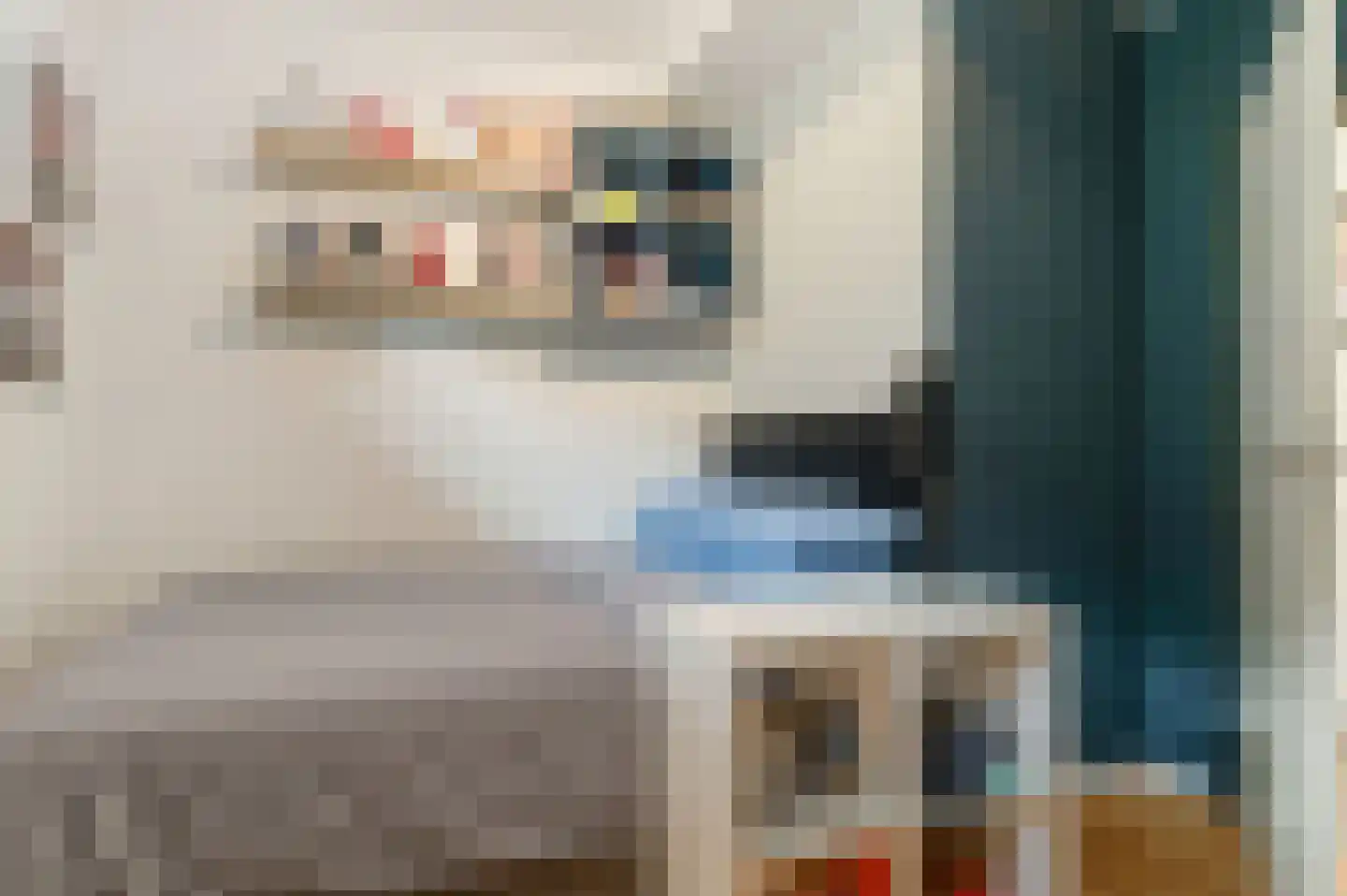 Schoenerwal 13 Leiden thumbnail 41