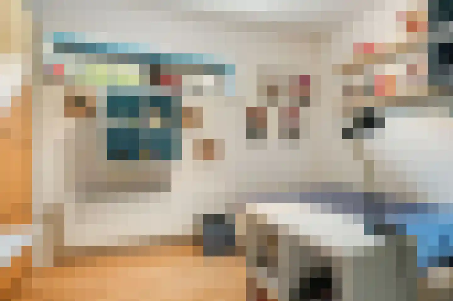Schoenerwal 13 Leiden thumbnail 42
