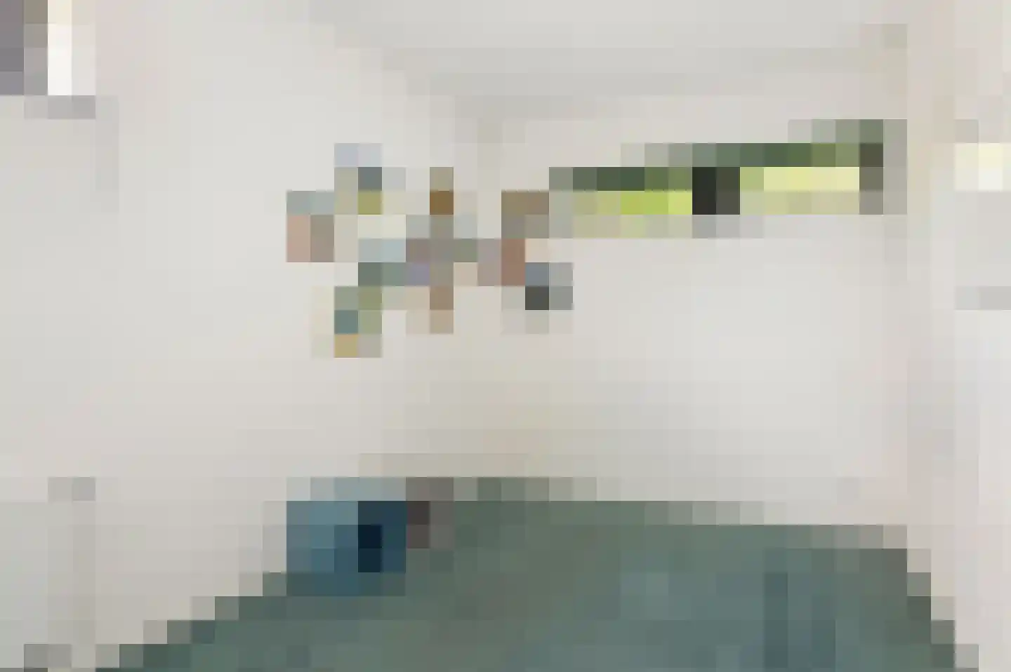 Schoenerwal 13 Leiden thumbnail 43