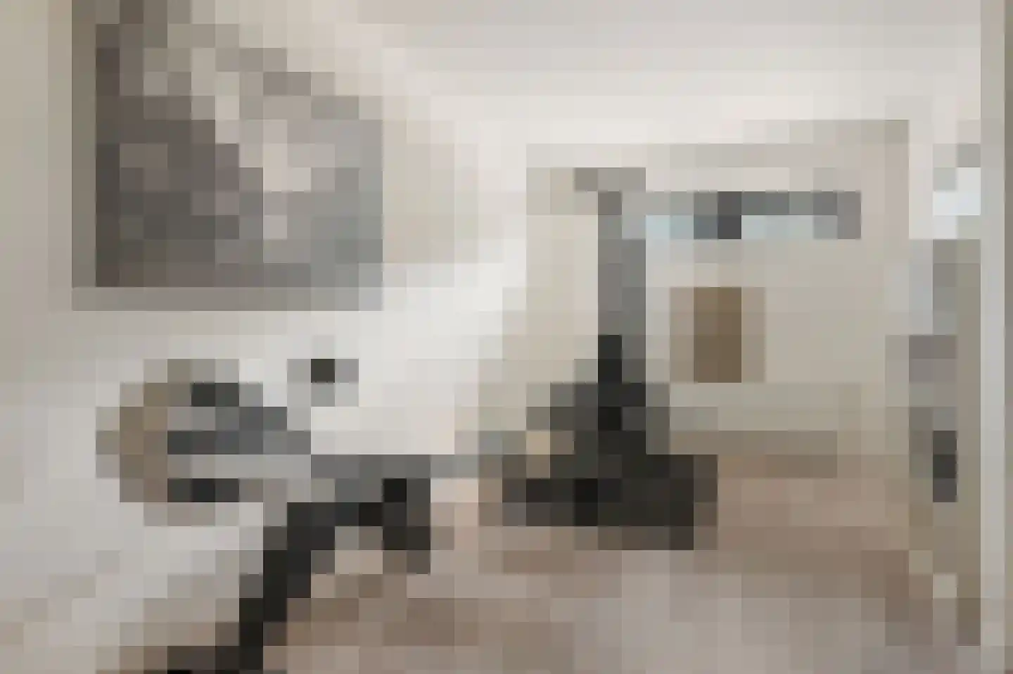Schoenerwal 13 Leiden thumbnail 45