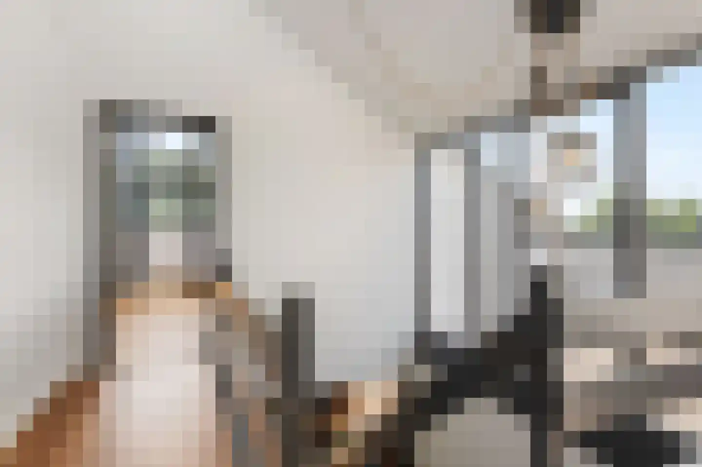 Schoenerwal 13 Leiden thumbnail 47
