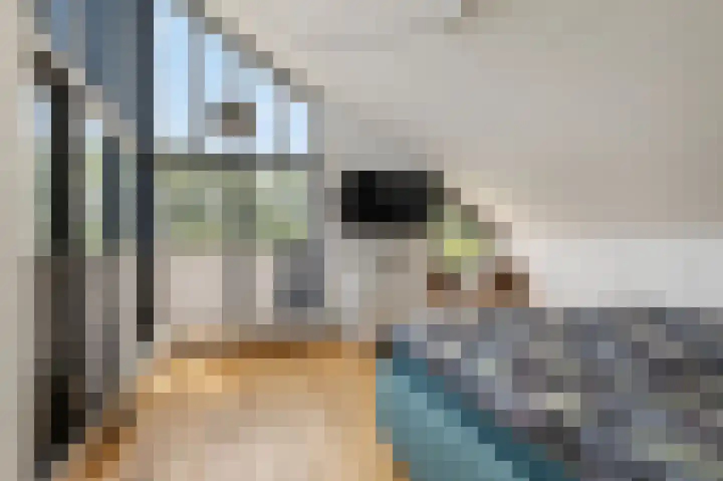 Schoenerwal 13 Leiden thumbnail 50