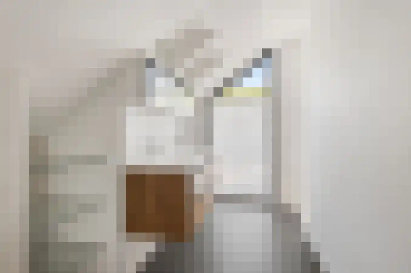 Schoenerwal 13 Leiden thumbnail 55