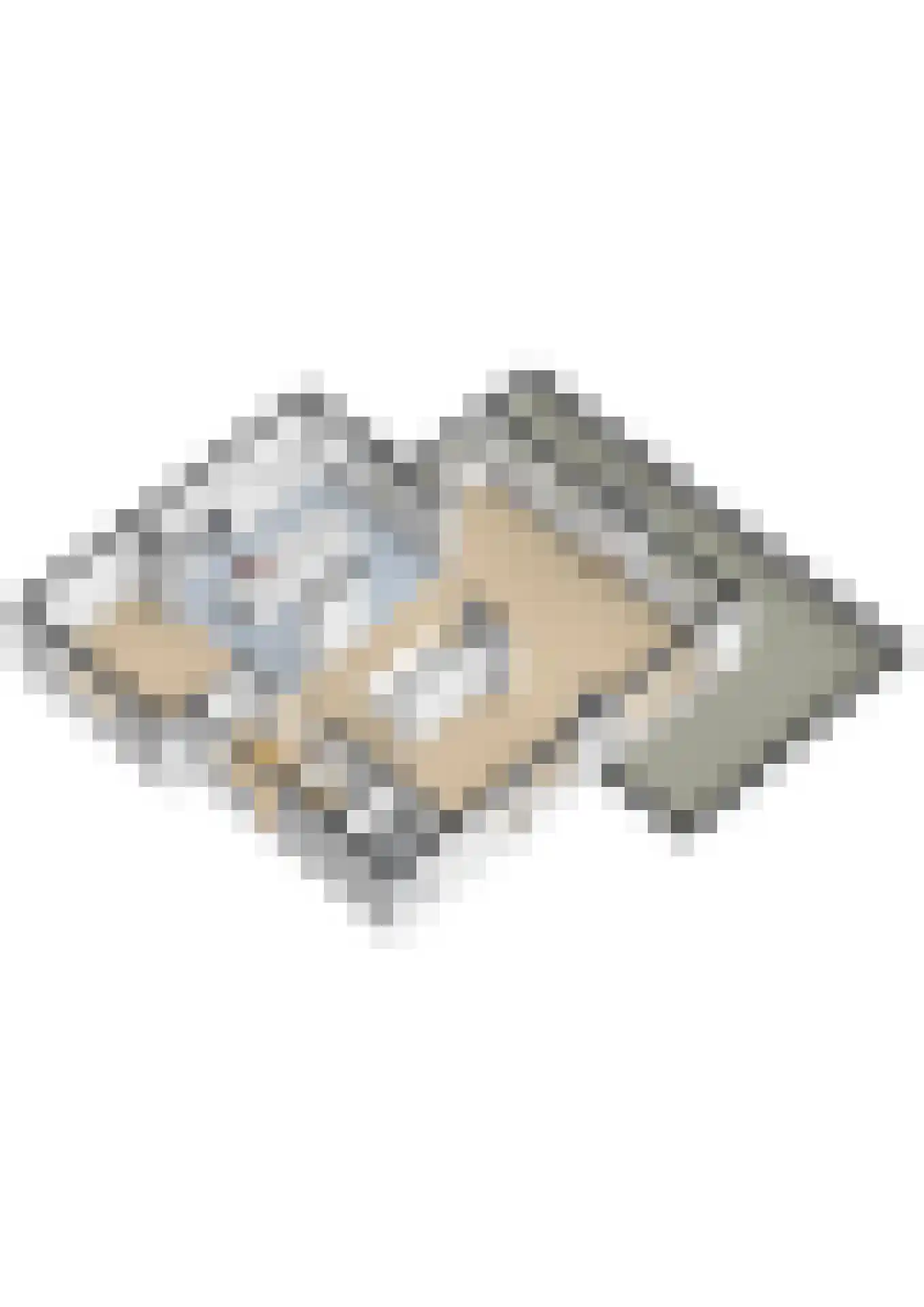 Schoenerwal 13 Leiden thumbnail 64
