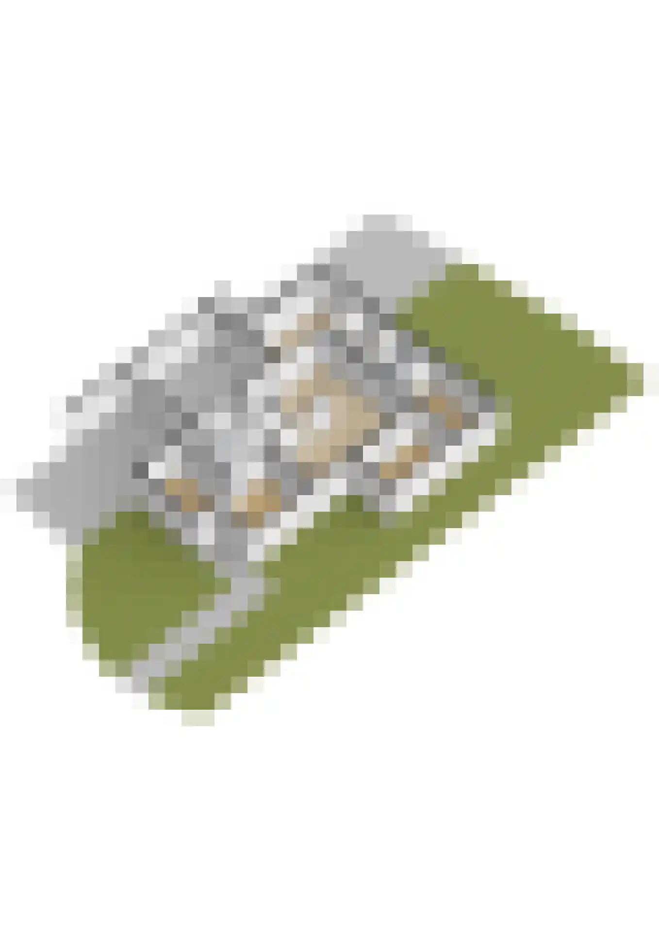 Schoenerwal 13 Leiden thumbnail 66