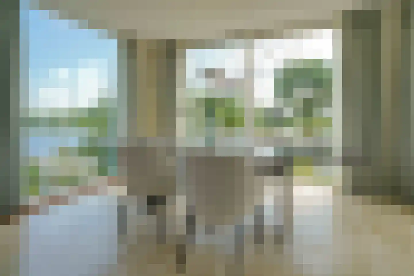 Schoenerwal 15 Leiden thumbnail 10