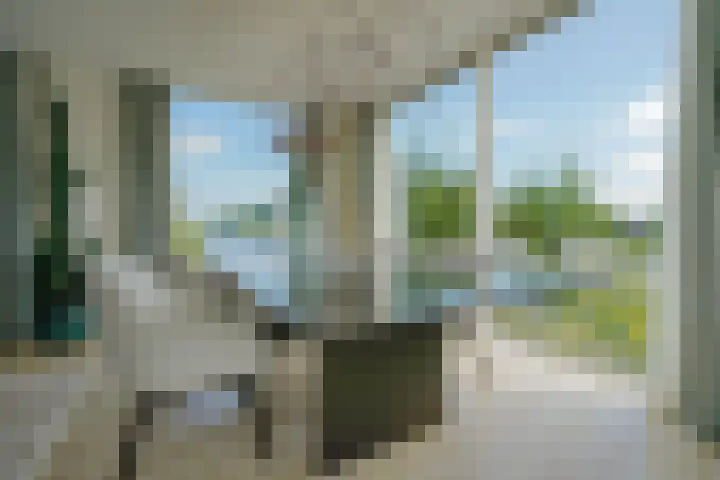 Schoenerwal 15 Leiden thumbnail 11