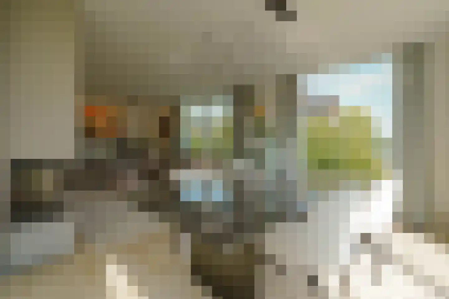 Schoenerwal 15 Leiden thumbnail 12