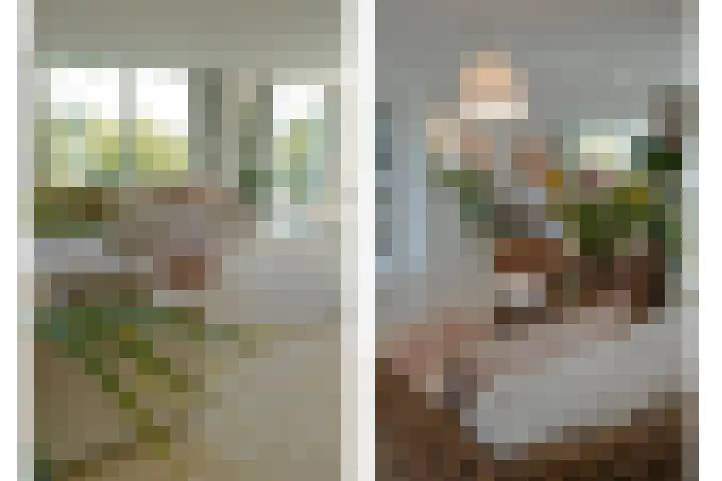Schoenerwal 15 Leiden thumbnail 14