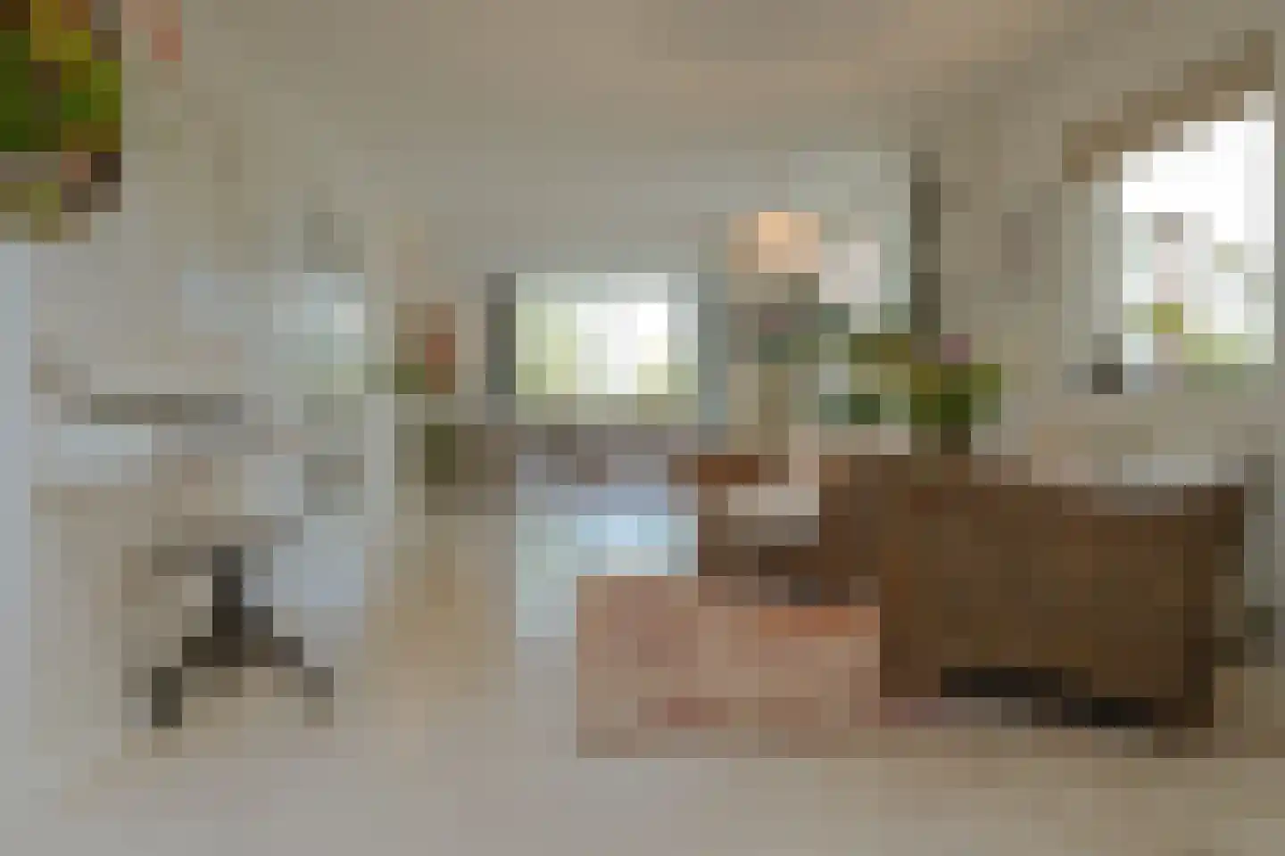 Schoenerwal 15 Leiden thumbnail 15