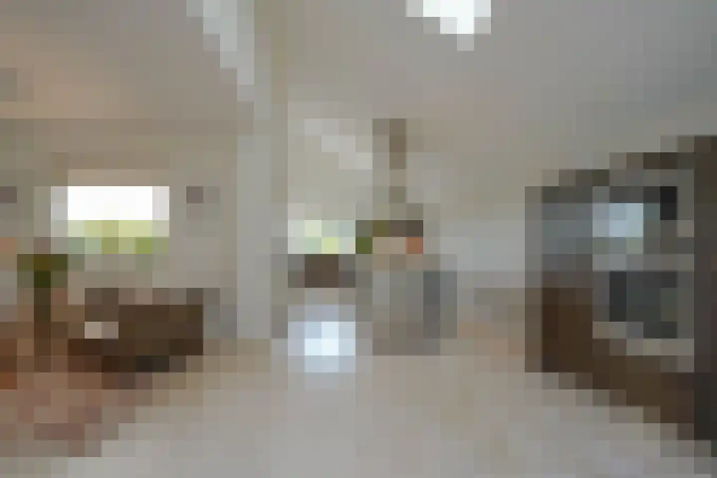 Schoenerwal 15 Leiden thumbnail 16