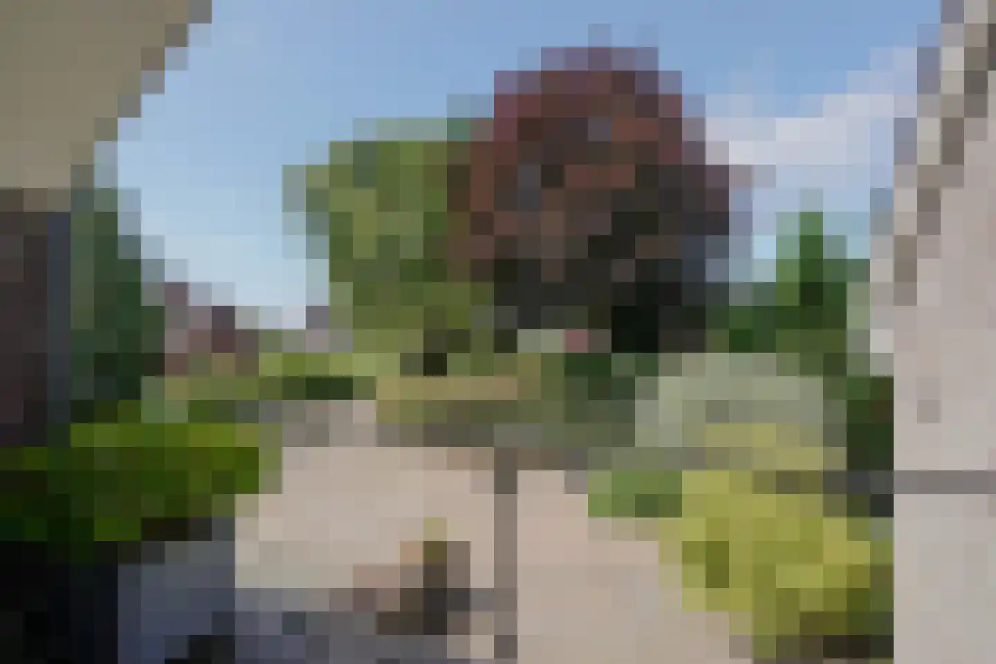 Schoenerwal 15 Leiden thumbnail 17