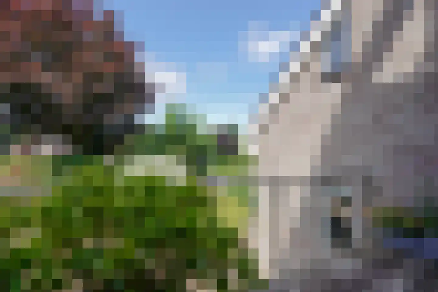 Schoenerwal 15 Leiden thumbnail 18
