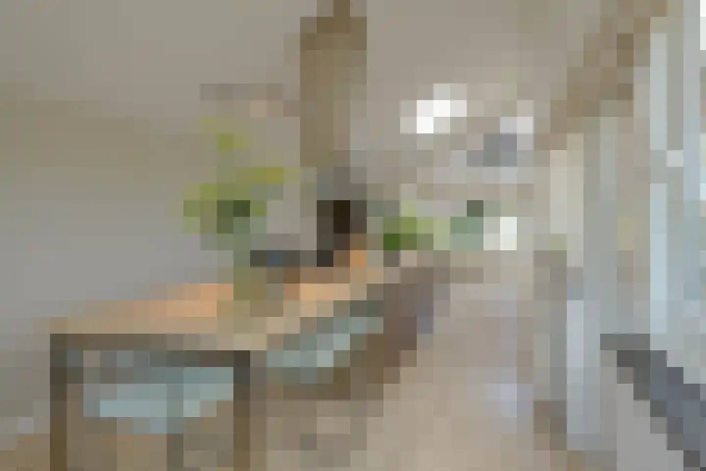 Schoenerwal 15 Leiden thumbnail 22