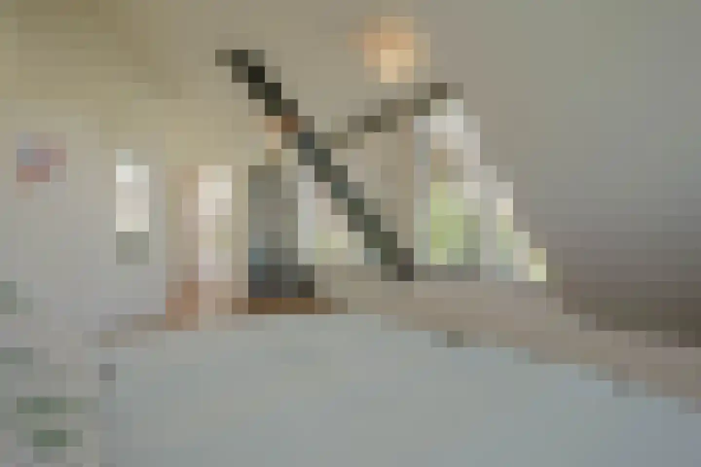 Schoenerwal 15 Leiden thumbnail 32