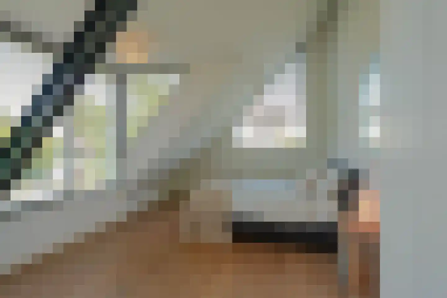 Schoenerwal 15 Leiden thumbnail 33