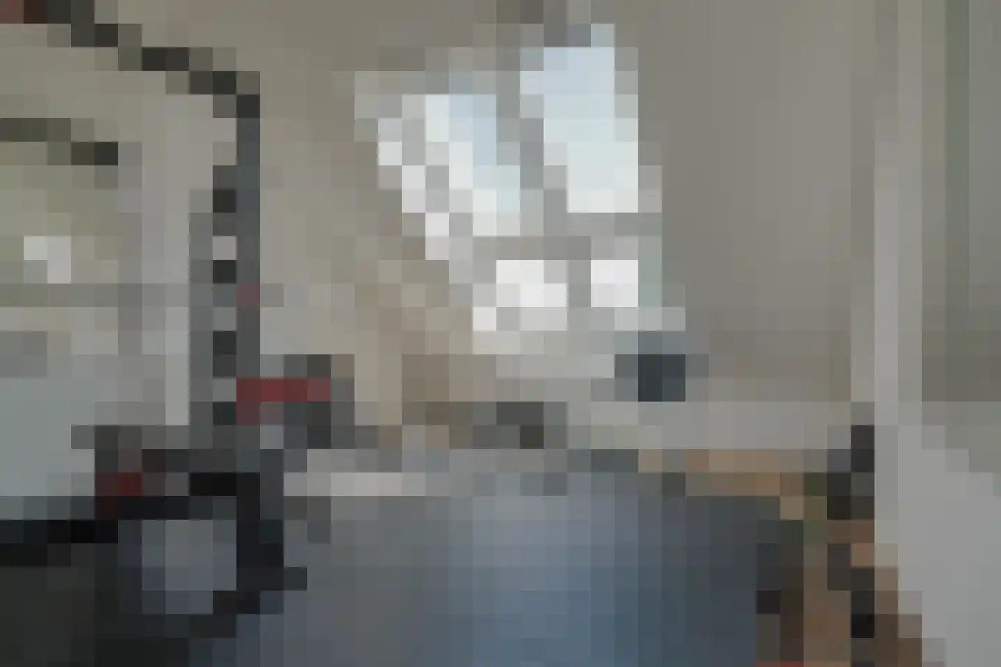 Schoenerwal 15 Leiden thumbnail 34