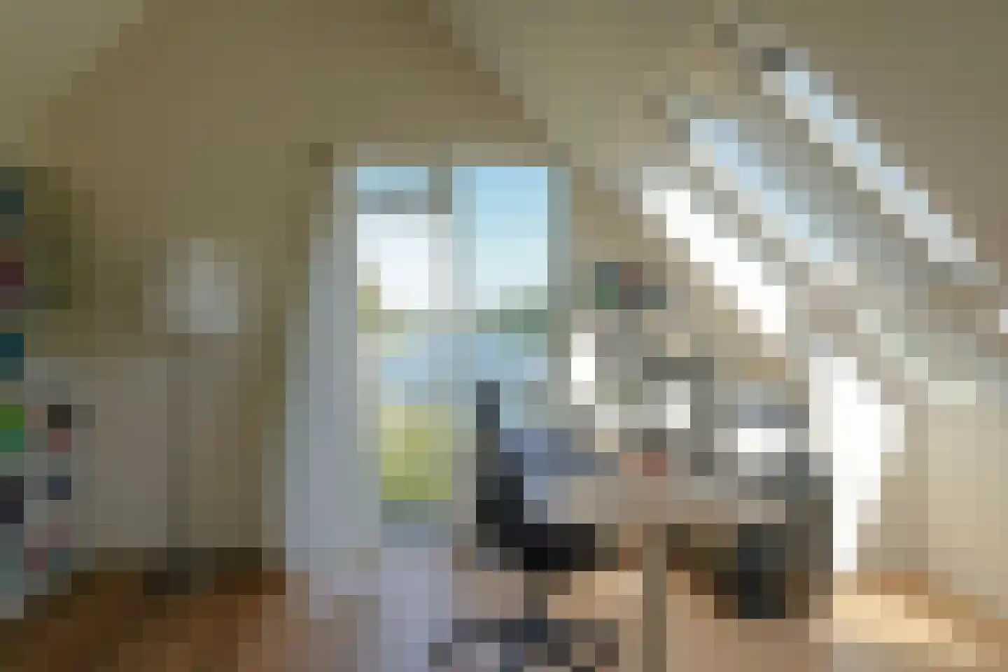 Schoenerwal 15 Leiden thumbnail 37