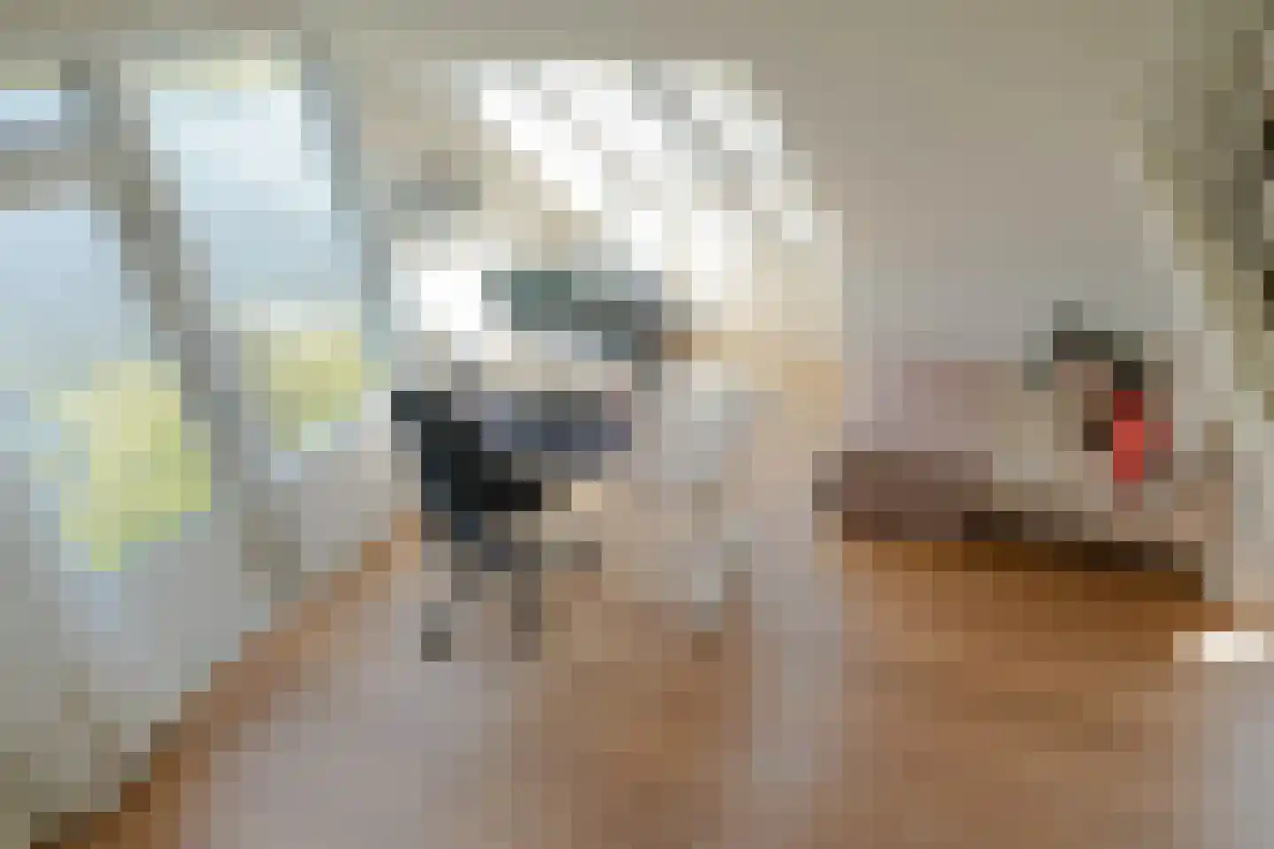Schoenerwal 15 Leiden thumbnail 39