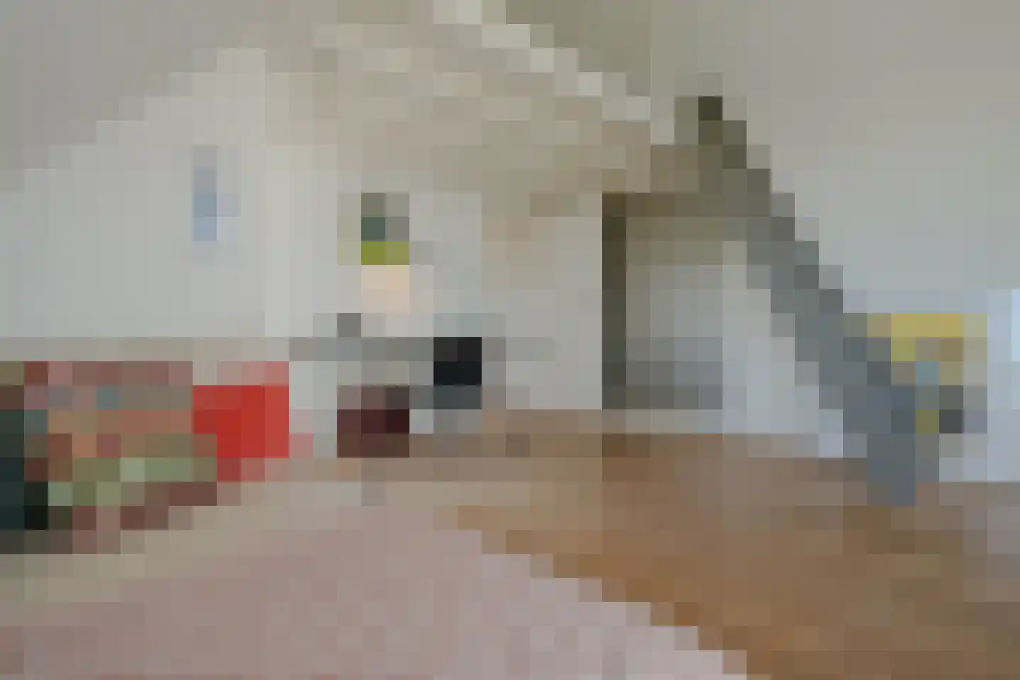 Schoenerwal 15 Leiden thumbnail 40
