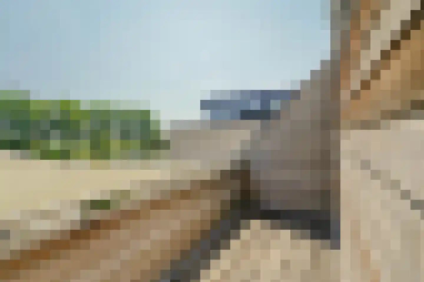 Schoenerwal 15 Leiden thumbnail 42