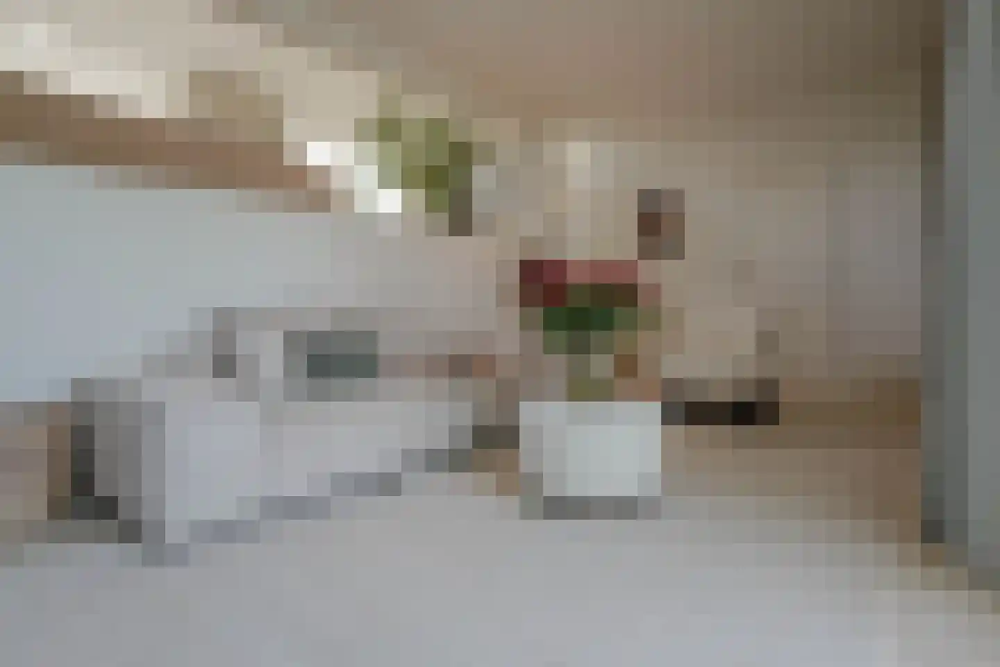 Schoenerwal 15 Leiden thumbnail 5
