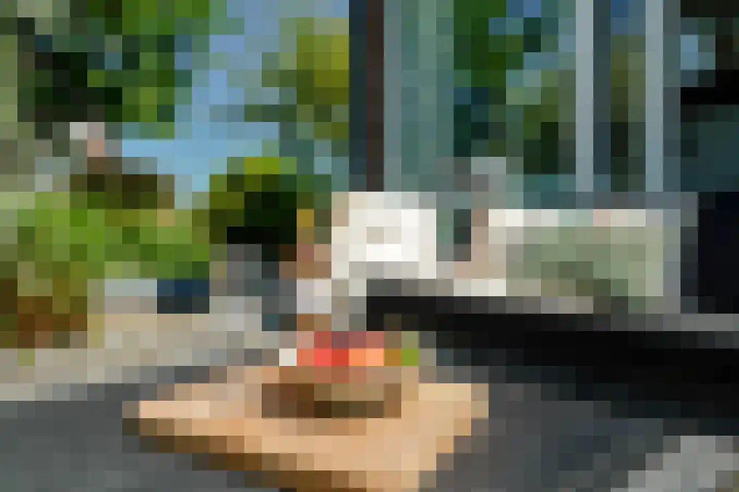 Schoenerwal 15 Leiden thumbnail 57