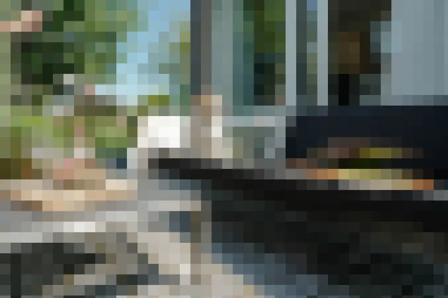 Schoenerwal 15 Leiden thumbnail 58