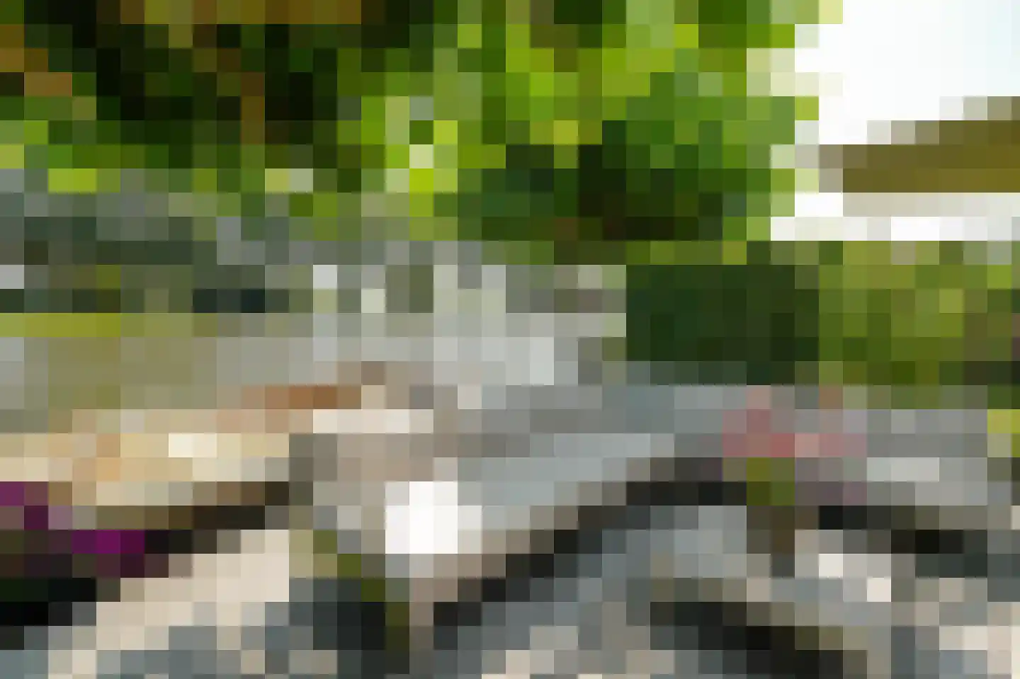 Schoenerwal 15 Leiden thumbnail 61
