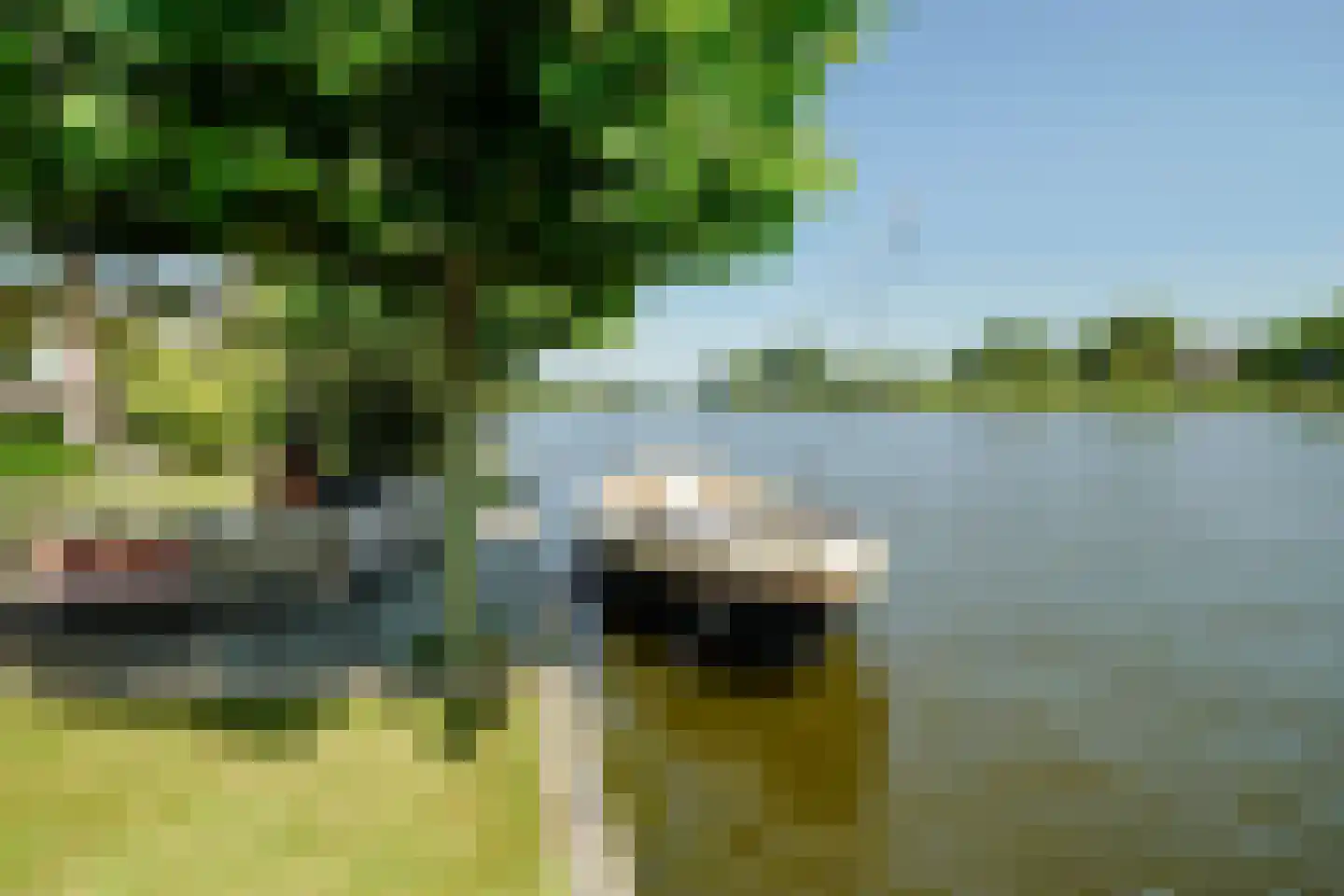 Schoenerwal 15 Leiden thumbnail 63