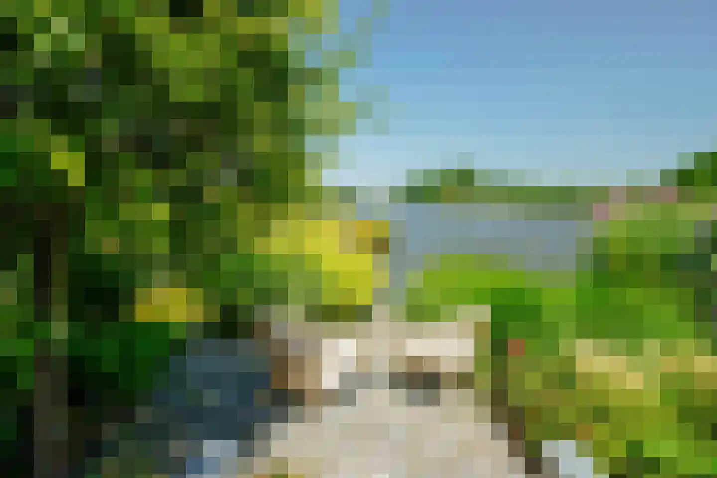 Schoenerwal 15 Leiden thumbnail 64