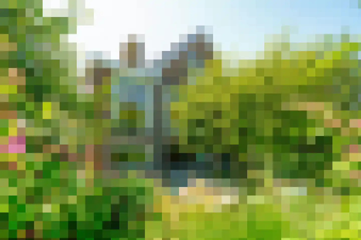 Schoenerwal 15 Leiden thumbnail 66