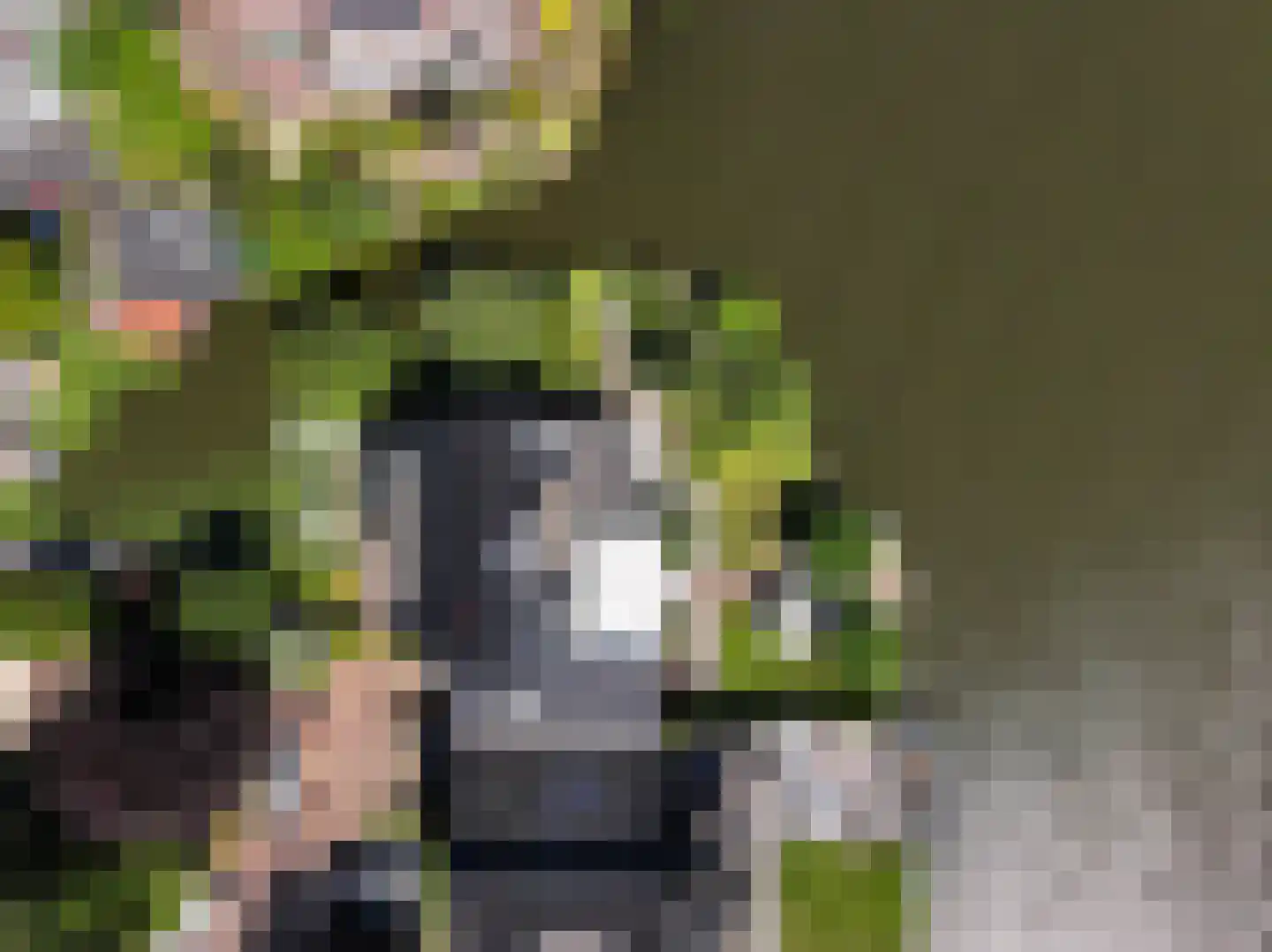 Schoenerwal 15 Leiden thumbnail 67