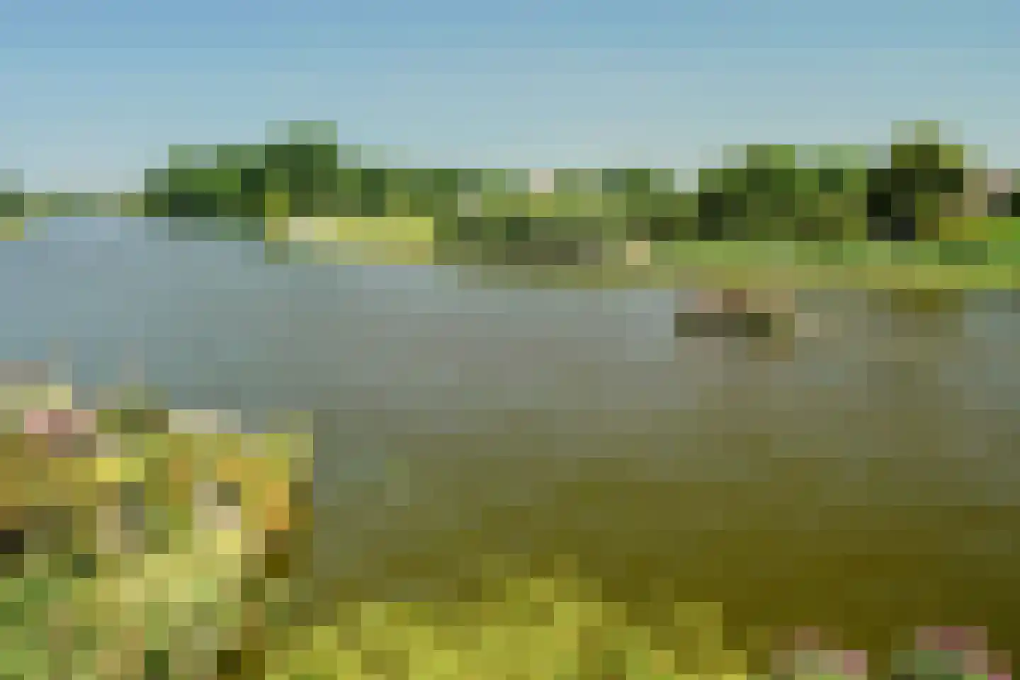 Schoenerwal 15 Leiden thumbnail 70