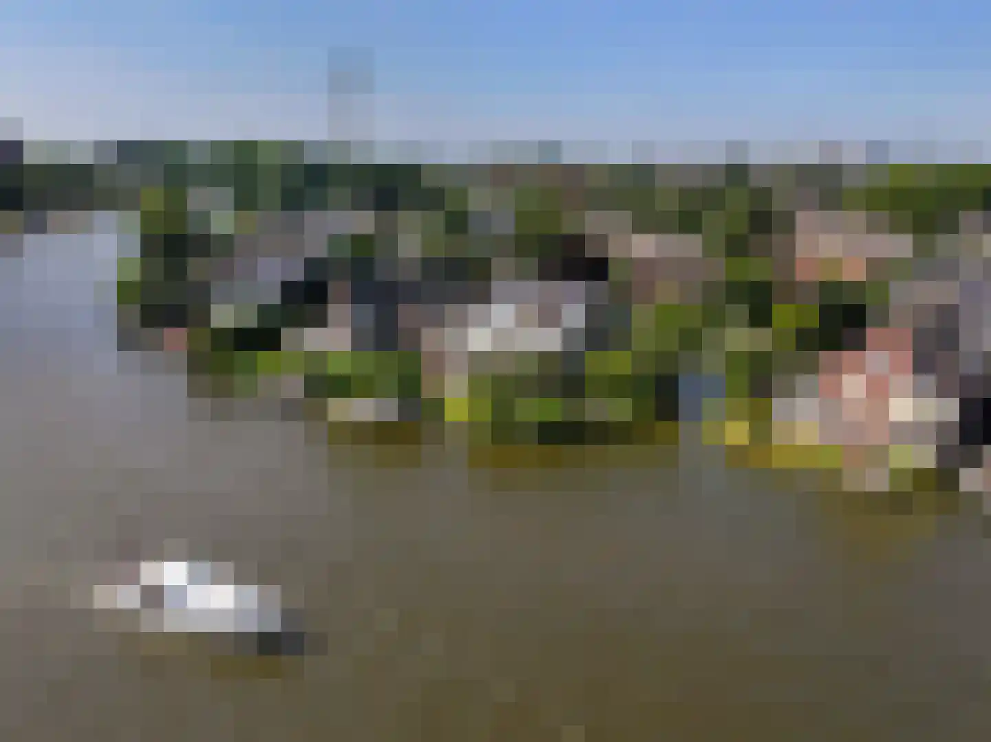 Schoenerwal 15 Leiden thumbnail 71
