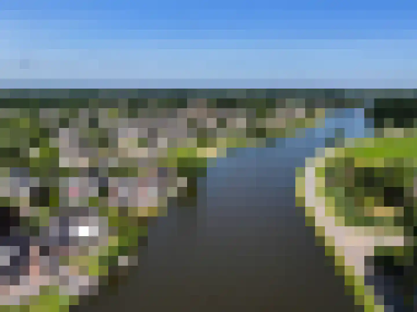 Schoenerwal 15 Leiden thumbnail 77