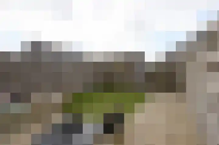 Schoenerwerf 27 Terneuzen thumbnail 14