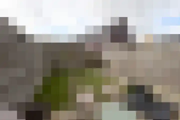 Schoenerwerf 27 Terneuzen thumbnail 4