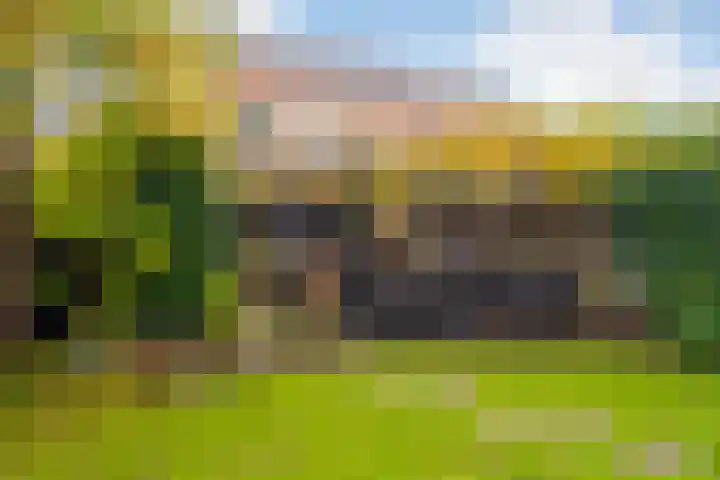 Schoenlappervlinder 36 Utrecht thumbnail 10