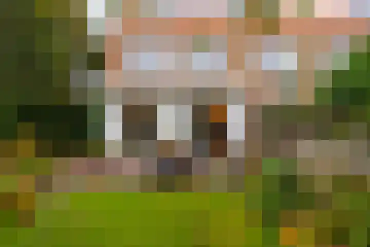 Schoenlappervlinder 36 Utrecht thumbnail 11