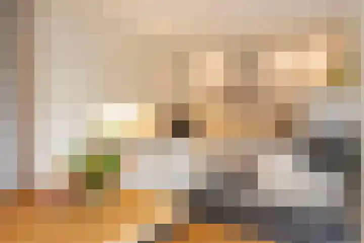 Schoenlappervlinder 36 Utrecht thumbnail 13