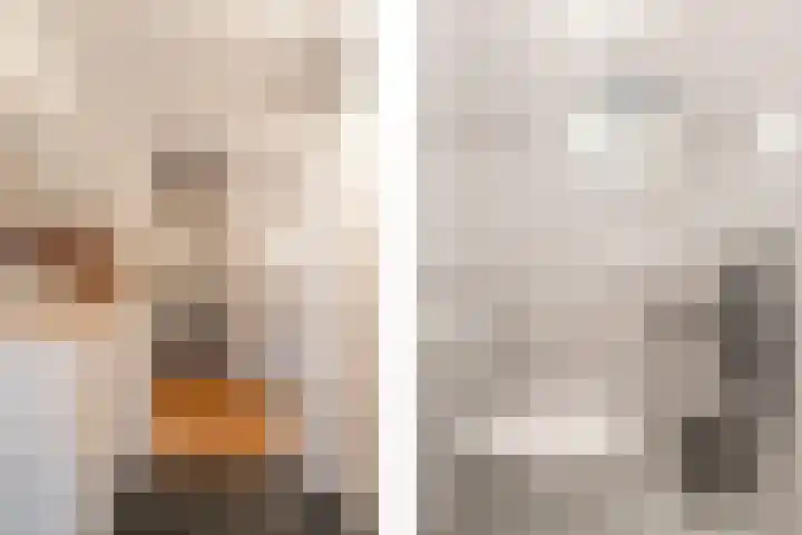 Schoenlappervlinder 36 Utrecht thumbnail 17