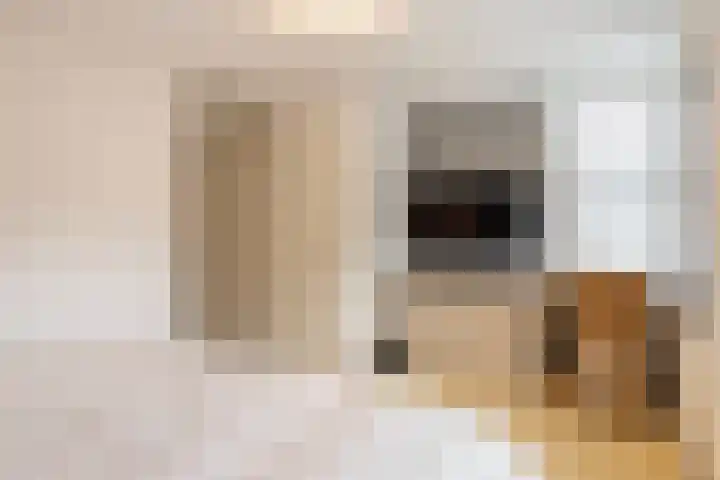 Schoenlappervlinder 36 Utrecht thumbnail 22