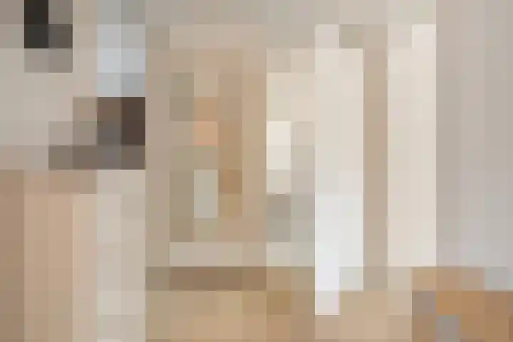 Schoenlappervlinder 36 Utrecht thumbnail 23