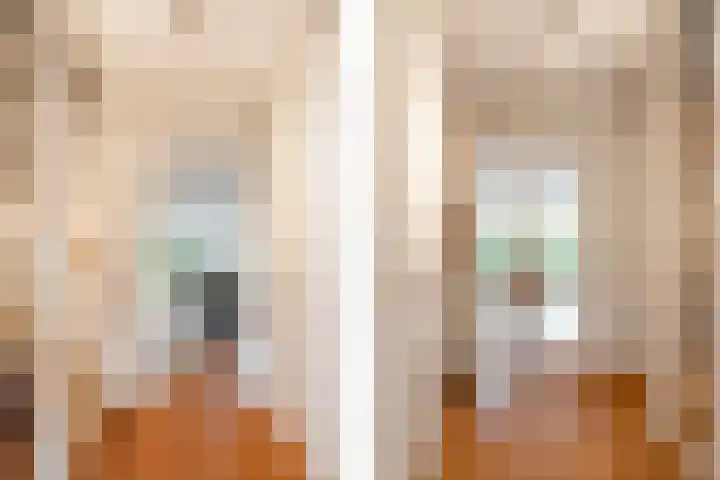 Schoenlappervlinder 36 Utrecht thumbnail 24