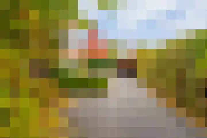 Schoenlappervlinder 36 Utrecht thumbnail 27
