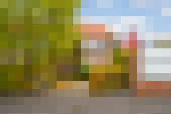 Schoenlappervlinder 36 Utrecht thumbnail 28
