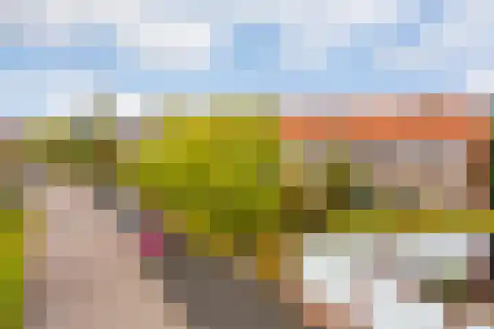 Schoenlappervlinder 36 Utrecht thumbnail 29