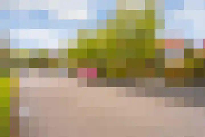 Schoenlappervlinder 36 Utrecht thumbnail 30